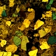 Trinocular Transmitted Polarizing Microscope